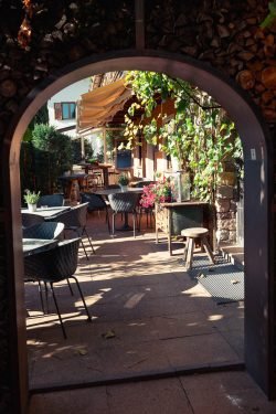 Fischerhof2025-web©ThomasMonsorno-1701066 Fischerhof2025-web©ThomasMonsorno-1701066